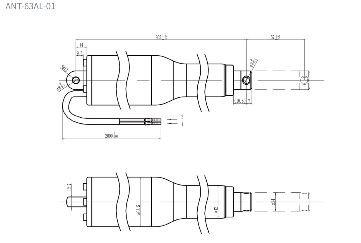 ANT-63 (图1) ANT-63 (图1)
